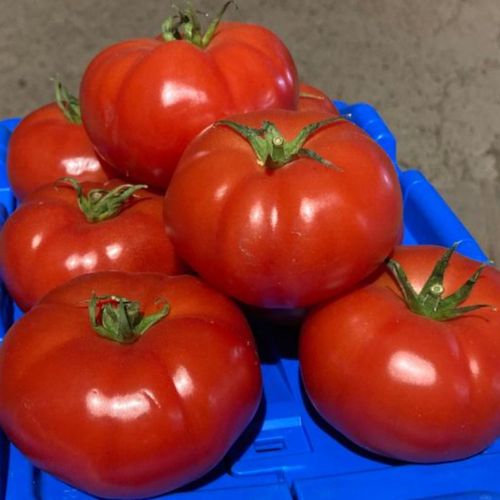 Photo de: Tomate Vrac